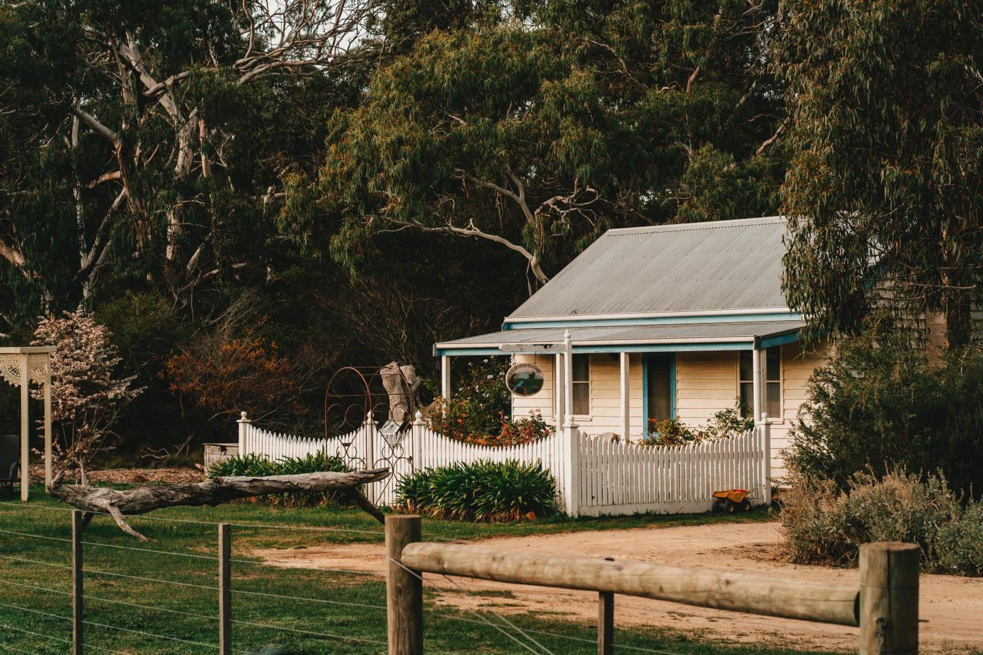 Freshwater Creek Cottages & Farm Stay Торки Экстерьер фото