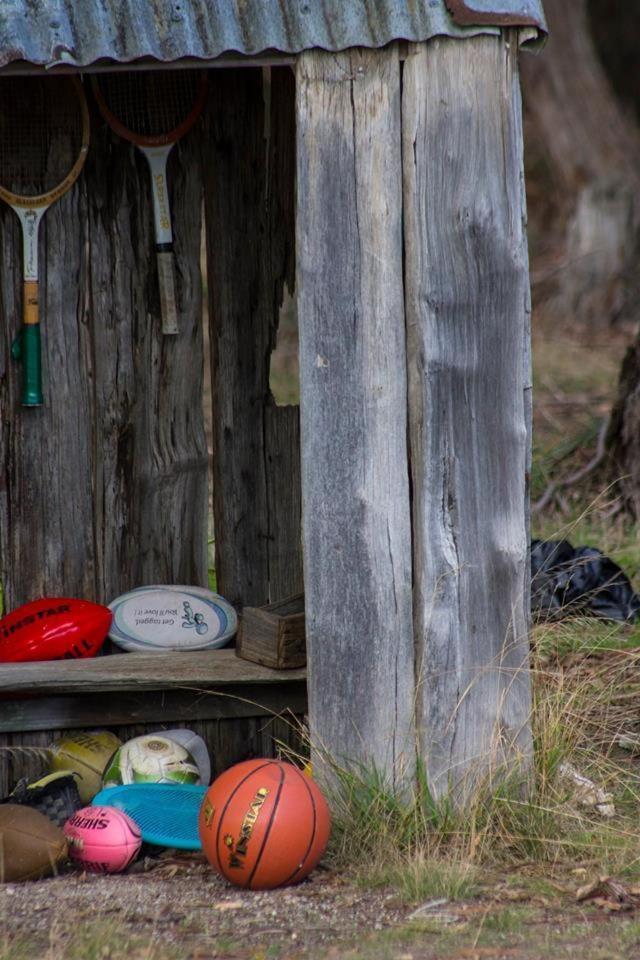 Freshwater Creek Cottages & Farm Stay Торки Экстерьер фото